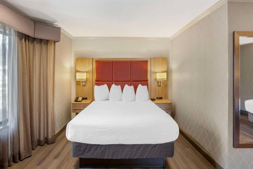 Best Western Inn - image 29