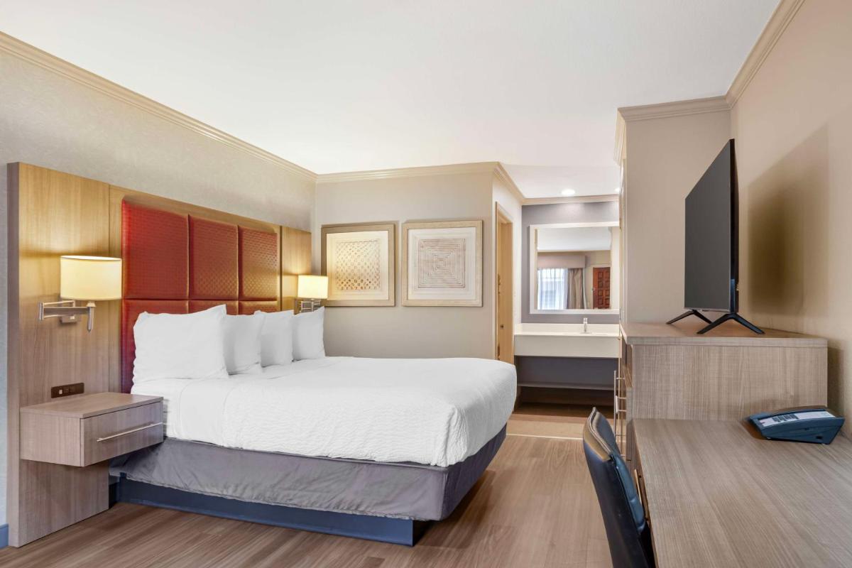 Best Western Inn - image 7