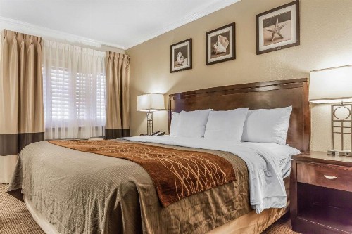 Comfort Inn Santa Cruz - image 12