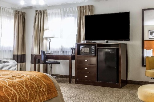 Comfort Inn Santa Cruz - image 23