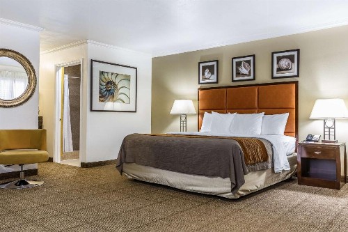 Comfort Inn Santa Cruz - image 25