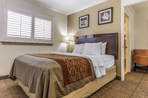 Comfort Inn Santa Cruz - image 30