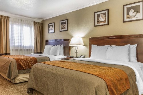 Comfort Inn Santa Cruz - image 33