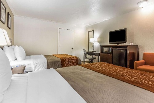 Comfort Inn Santa Cruz - image 4