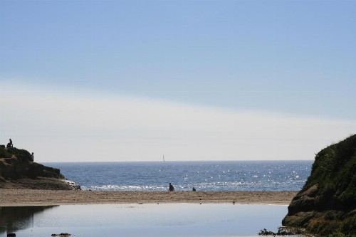 Ocean Echo Inn & Beach Cottages - image 4