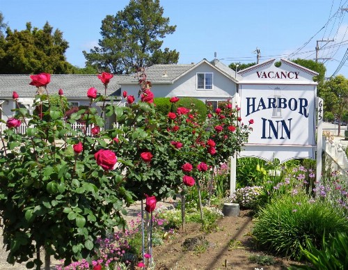 Harbor Inn - image 25