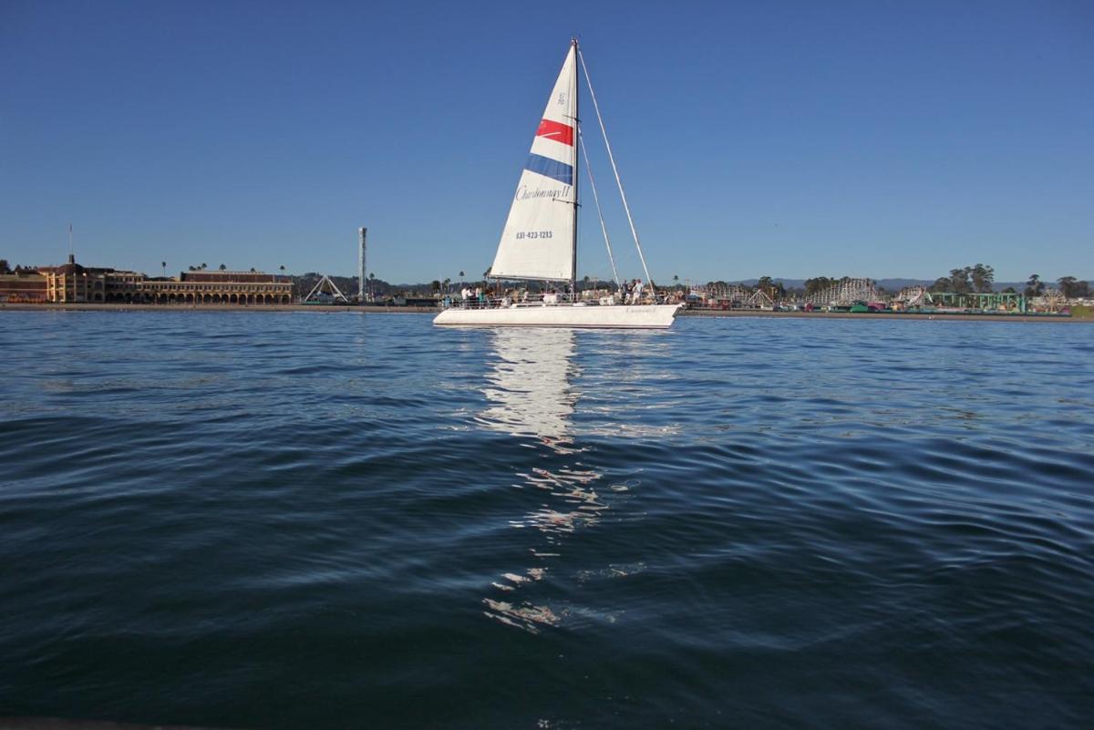 Harbor Inn - image 3