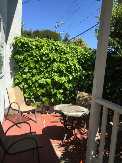 Harbor Inn - image 39