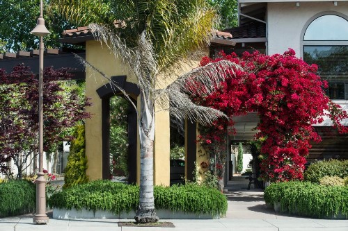 Mission Inn - image 7