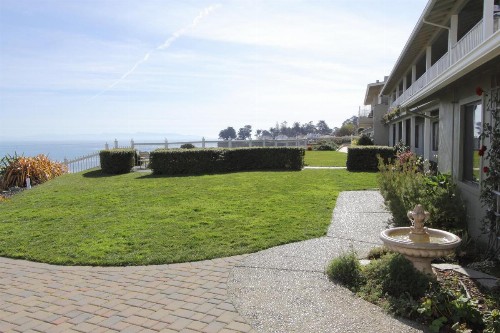 Sea & Sand Inn - image 11