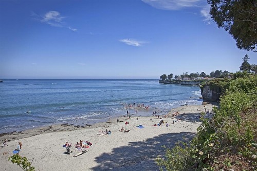 Sea & Sand Inn - image 15