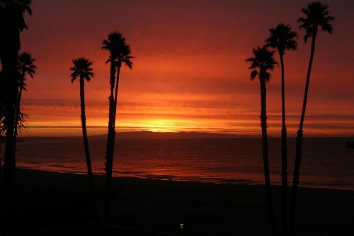 Casablanca Inn on The Beach - image 21