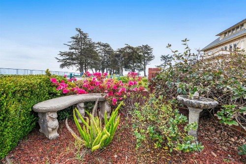 Magical Oasis - image 11