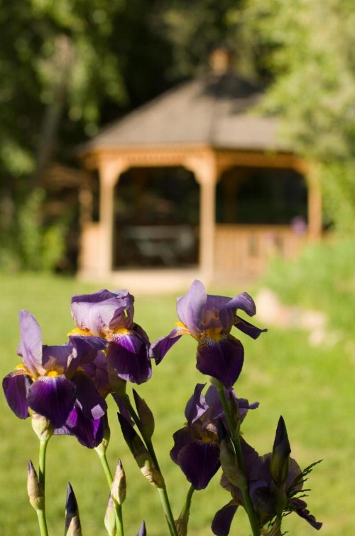 Fort Marcy Suites - image 5