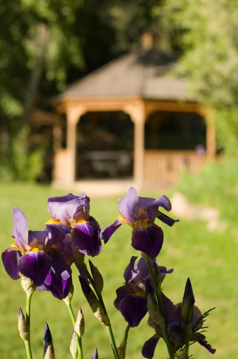 Fort Marcy Suites - image 5