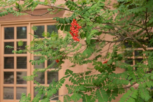 Hotel Santa Fe - image 9