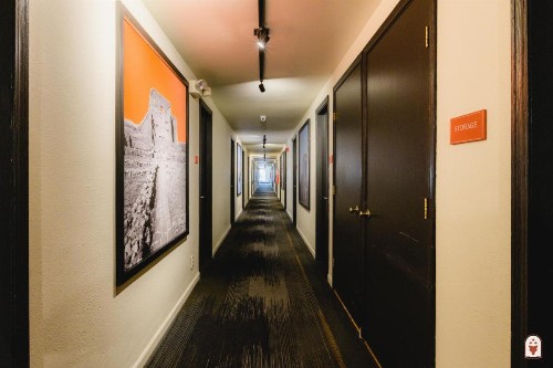 Coyote South - image 16