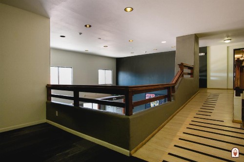Coyote South - image 22
