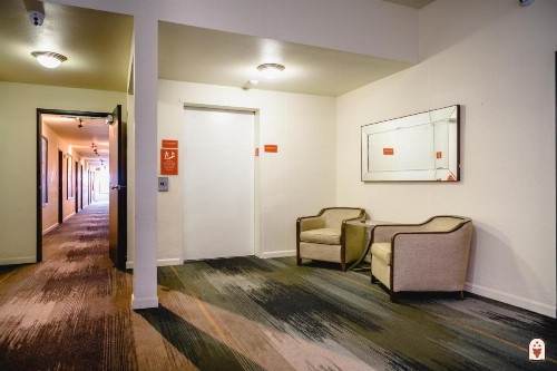 Coyote South - image 46