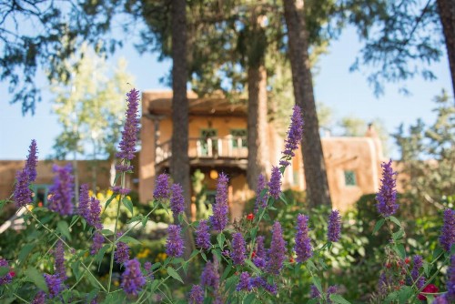 Inn of the Turquoise Bear - image 21