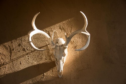 Inn of the Turquoise Bear - image 36