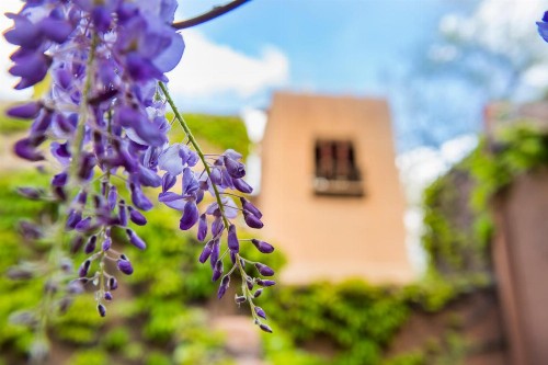 Inn on the Alameda - image 21
