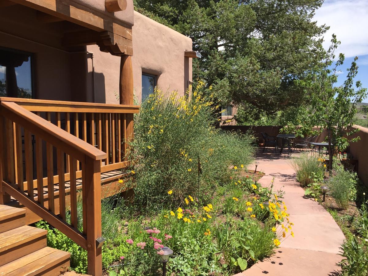 Casa Cuma Bed & Breakfast - image 3