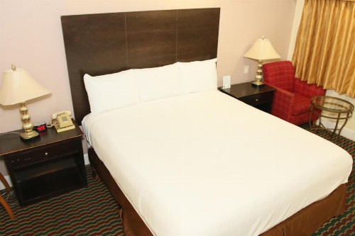 Town and Country Inn - image 19