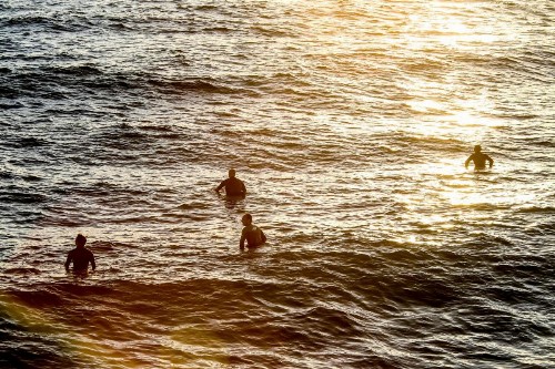 Ocean Park Hotel - image 37