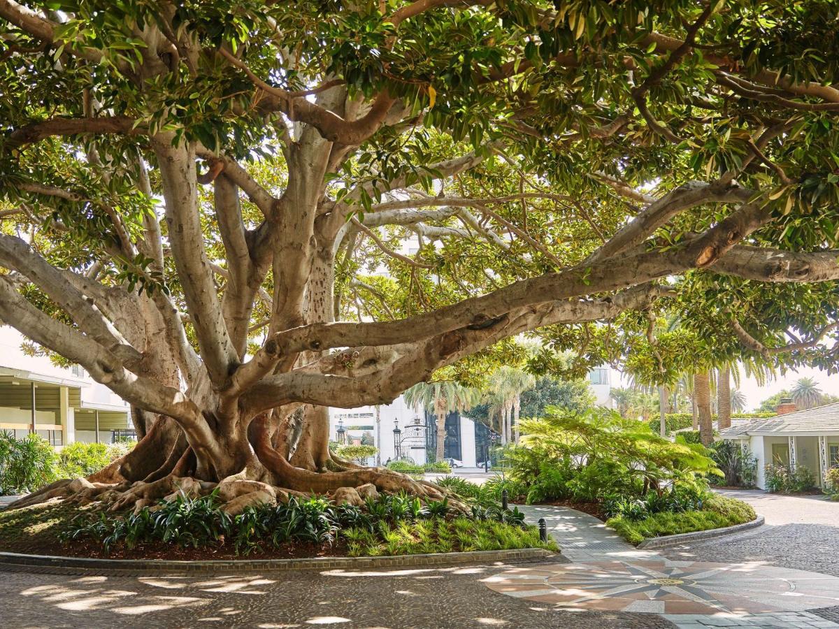 Fairmont Miramar Hotel & Bungalows - image 2
