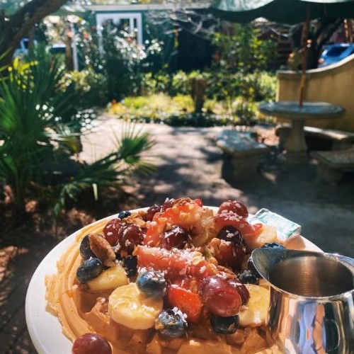 Hibiscus Coffee & Guesthouse - image 2