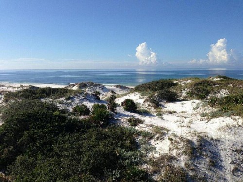 Compass Point by Dune Vacation Rentals - image 10