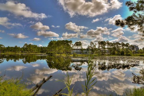 Seagrove Beach - Beachside Villas #523 - image 11