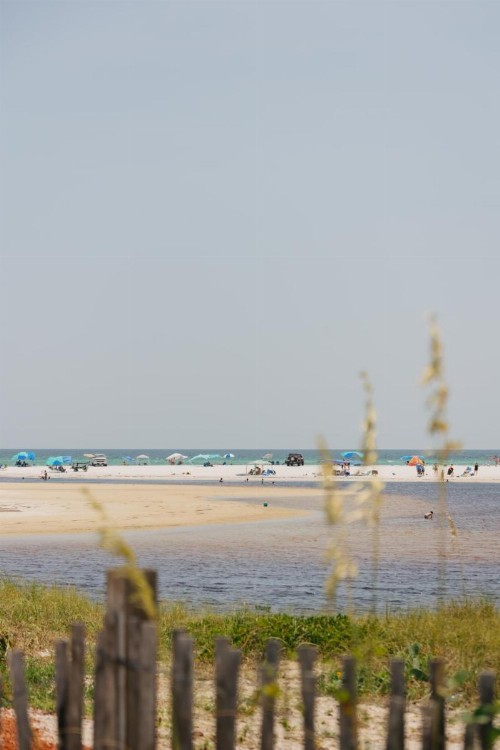 Seaview - image 6