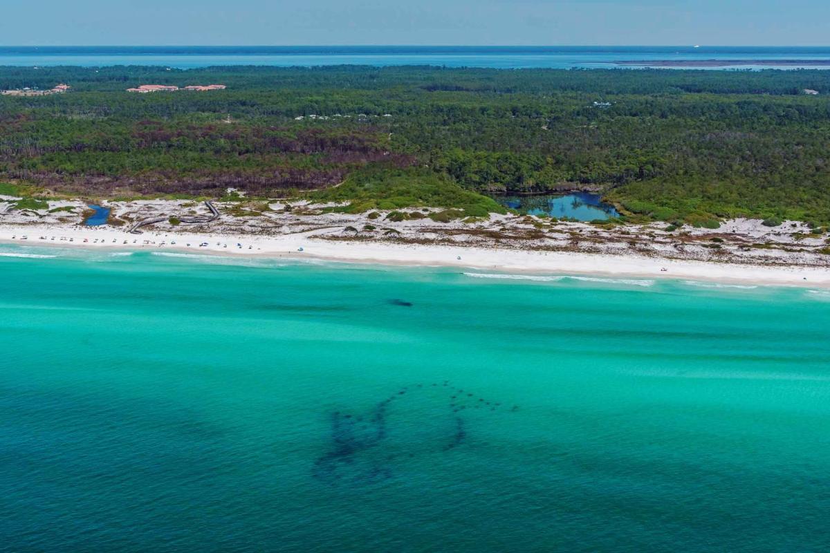 Gulf Place Cabanas 203 by RealJoy Vacations - image 3