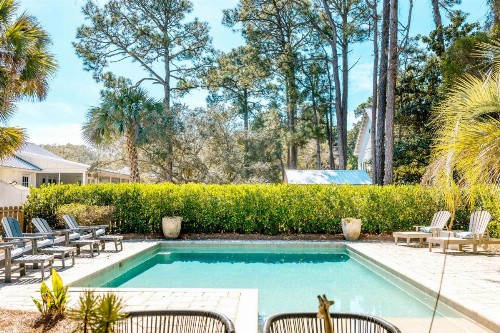 Lazy Magnolia - image 12