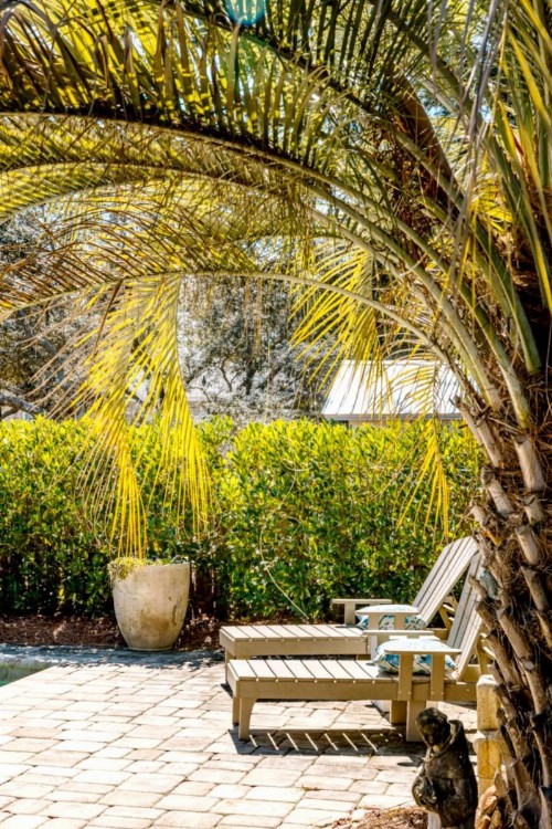 Lazy Magnolia - image 43