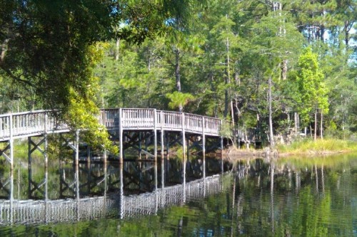 Sandy Daze by RealJoy Vacations - image 4