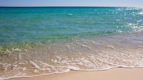 Sandy Bottoms - image 40
