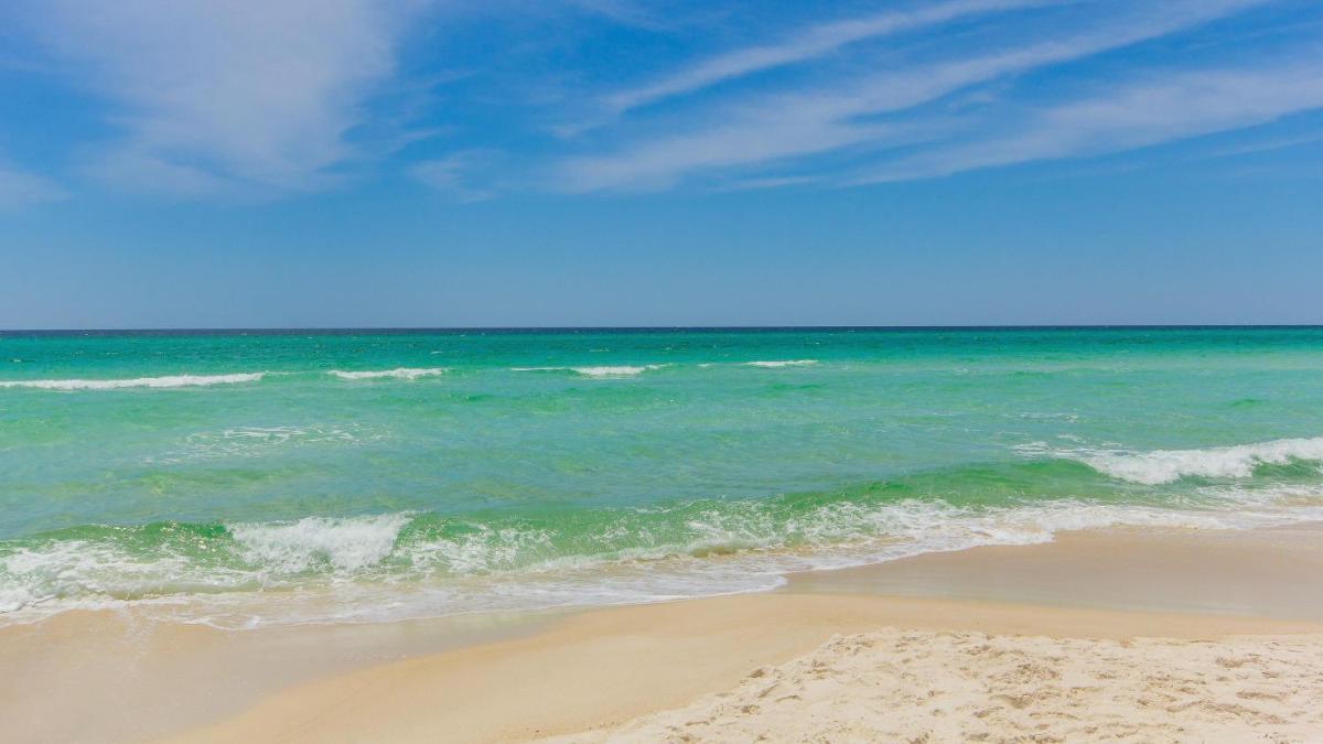Sandy Bottoms - image 6