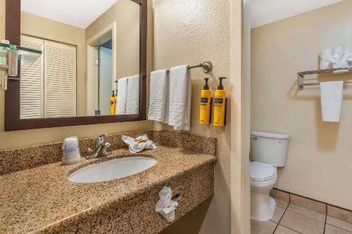 Best Western Plus Wine Country Inn & Suites - image 19