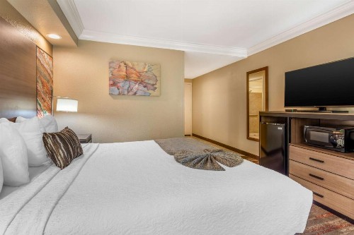 Best Western Plus Wine Country Inn & Suites - image 29