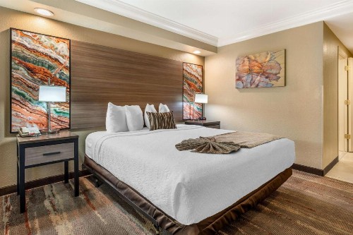 Best Western Plus Wine Country Inn & Suites - image 8