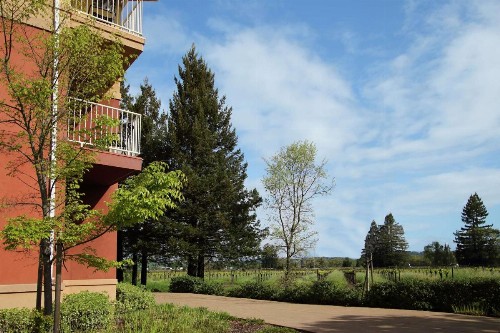 Hilton Garden Inn Sonoma County Airport - image 8