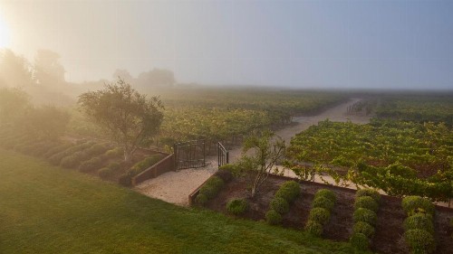 Vintners Resort - image 11