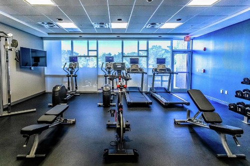 Hampton Inn & Suites Sarasota / Bradenton - Airport - image 31
