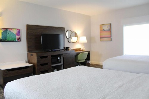 Hampton Inn & Suites Sarasota / Bradenton - Airport - image 47