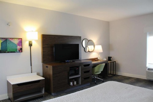 Hampton Inn & Suites Sarasota / Bradenton - Airport - image 49