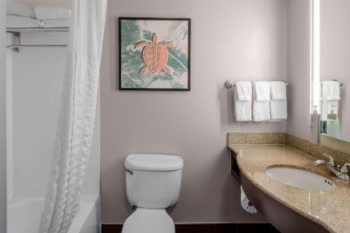Hilton Garden Inn Sarasota-Bradenton Airport - image 10