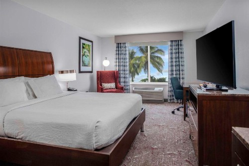 Hilton Garden Inn Sarasota-Bradenton Airport - image 12